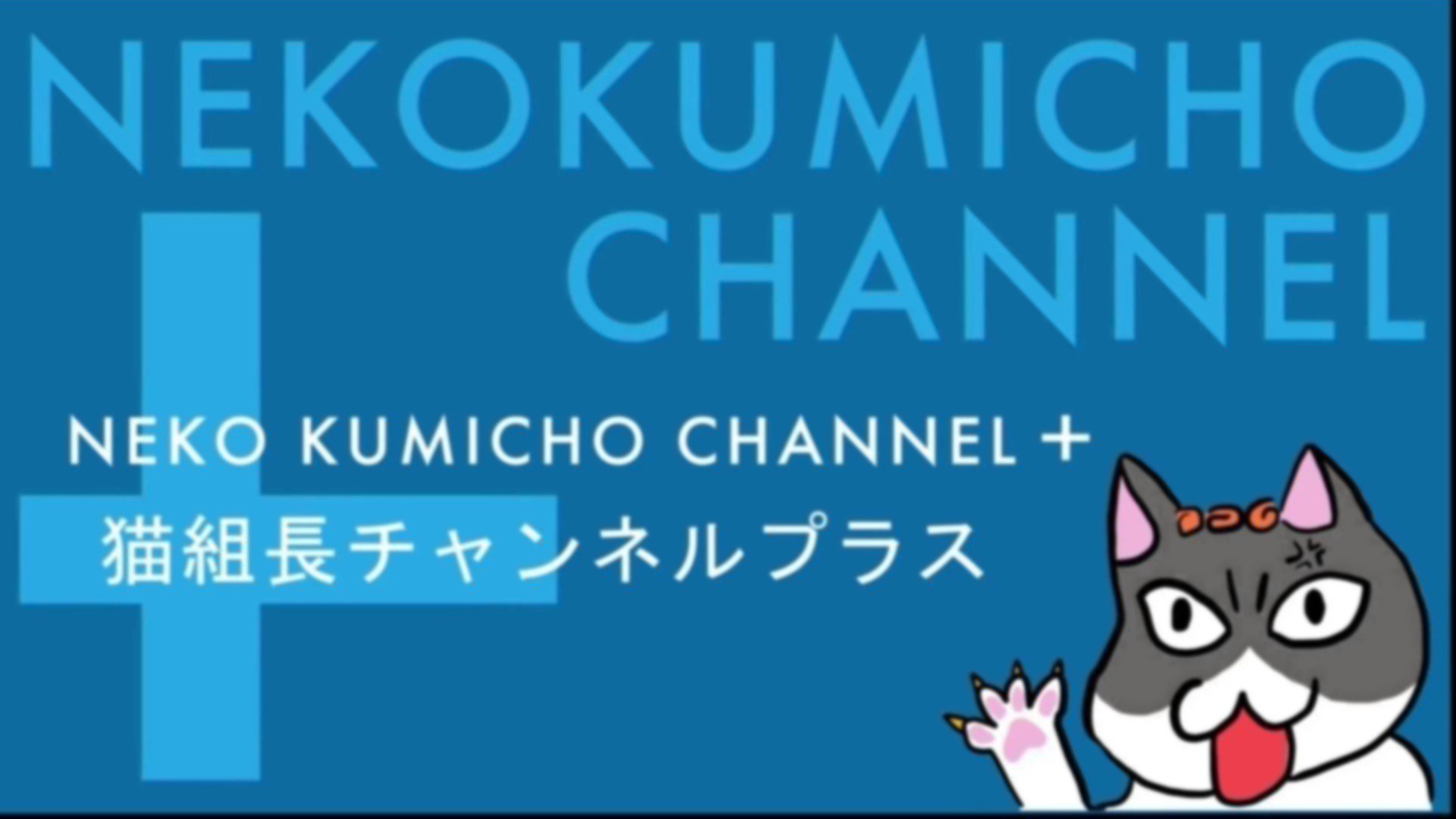 猫組長チャンネルプラス生放送 2025年2月22日（土）